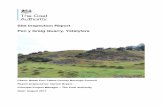 NPTCBC Pen y Graig Quarry Inspection Report 2017-08-03