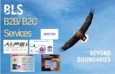 B2B/ B2C Services
