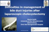 Difficulties in management of bile duct injuries after