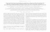 Association between polymorphisms of genes involved in the ...