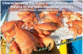 Characterizing the Kona crab fishery in the Main Hawaiian ...