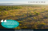 Coal Mine Rehabilitation - Glencore