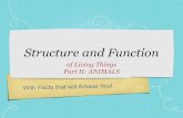 Structure and Function - Weebly