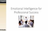Emotional Intelligence for Professional Success