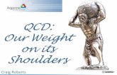 QCD: Our Weight Shoulders