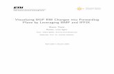 Visualizing BGP RIB Changes into Forwarding Plane by ...