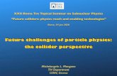 XXII Roma Tre Topical Seminar on Subnuclear Physics ...