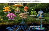 FANTASTIC FUNGI GLOBAL SUMMIT MUSH-ROOMS