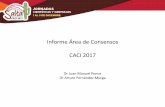 Informe Área de Consensos CACI 2017