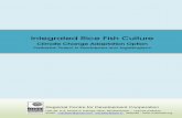 Integrated Rice Fish Culture - rcdcindia.org