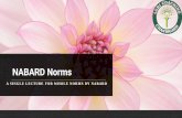 NABARD Norms - Agrosalai