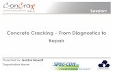 Concrete Cracking From Diagnostics to Repair