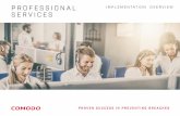 PROFESSIONAL IMPLEMENTATION OVERVIEW SERVICES