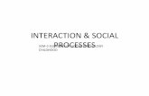 INTERACTION & SOCIAL PROCESSES
