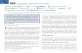 Management of Fungating Tumors and Pressure Ulcers in a ...