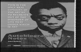 Autobiographical Notes by James Baldwin - W-L Homepage