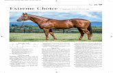 Extreme Choice - stallions.com.au