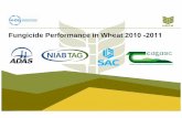 Fungicide Performance in Wheat 2010 -2011