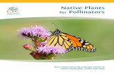 Native Plants for Pollinators