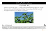 POISONOUS PLANTS U.S. Army Field Survival Manual