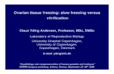 Ovarian tissue freezing: slow freezing versus vitrification
