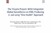 The Tricycle Project: WHO Integrated Global Surveillance ...