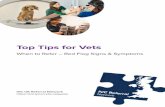 Top Tips for Vets - weu-az-web-ivc-cdpnep-p.azureedge.net