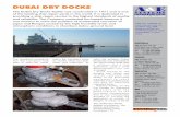 E Dubai dry docks 2014 - ae-sys.com