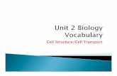 Cell Structure/Cell Transport