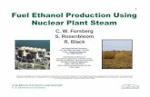 1 Fuel Ethanol Production Using Nuclear Plant Steam