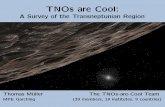 TNOs are Cool - Herschel