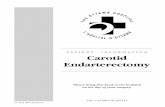 Patient Information: Carotid Endarterectomy
