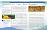 Managing Honey Bee Swarms - Lincoln University