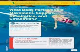 ESSENTIAL QUESTION What Body Parts Enable Movement ...
