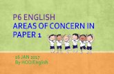 P6 ENGLISH AREAS OF CONCERN IN PAPER 1