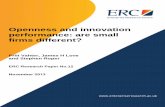 Openness and innovation performance: are small firms ...