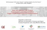 How can Efficient CAF Project Organisation and ...