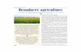 LAND USE CHANGES Broadacre agriculture