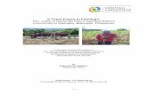 Is There Future in Farming?: The Case of Hacienda Palico ...