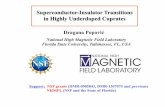 Superconductor-Insulator Transitions in Highly Underdoped ...