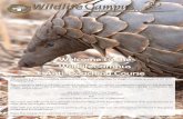 Welcome to the WildlifeCampus Anti-Poaching Course