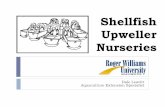 Shellfish Upweller Nurseries