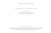 Phytophthora in Finnish nurseries - Dissertationes Forestales