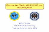 Hypernuclear Physics with FINUDA now and in the future