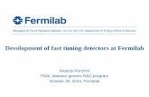 Development of fast timing detectors at Fermilab