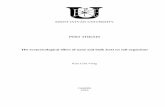 PHD THESIS - SZIE