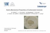 Hydro-Mechanical Properties of Carbonated Cements