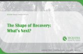 The Shape of Recovery: What’s Next?