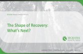 The Shape of Recovery Webinar - Small Business Association ...