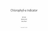 Chlorophyll-a Indicator